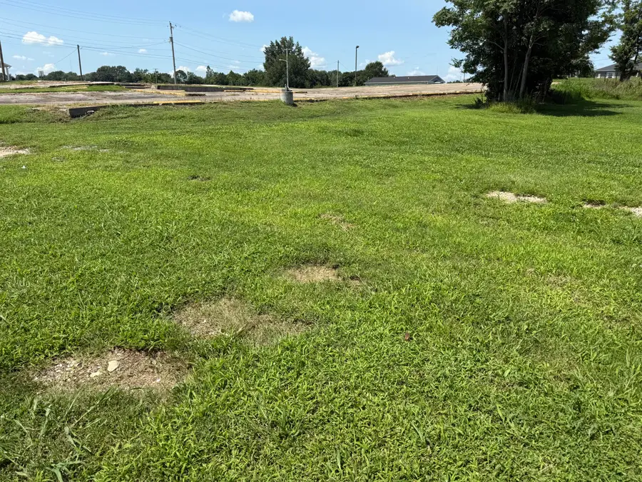 115 Indiana Avenue, Mayfield, KY 42066 - #2