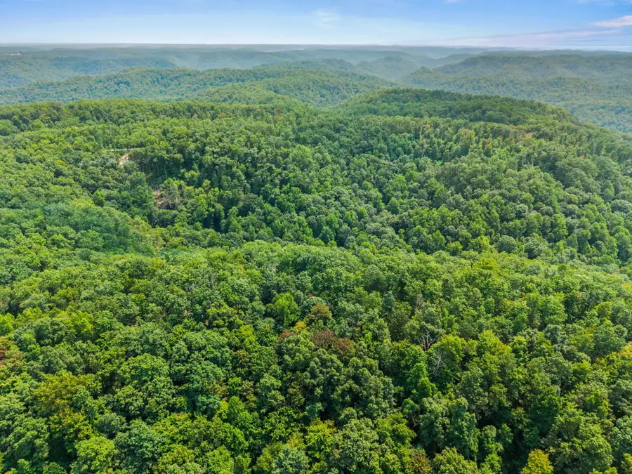 Lot 79, 301 Oak Hill Drive, Frenchburg, KY 40322 - #2