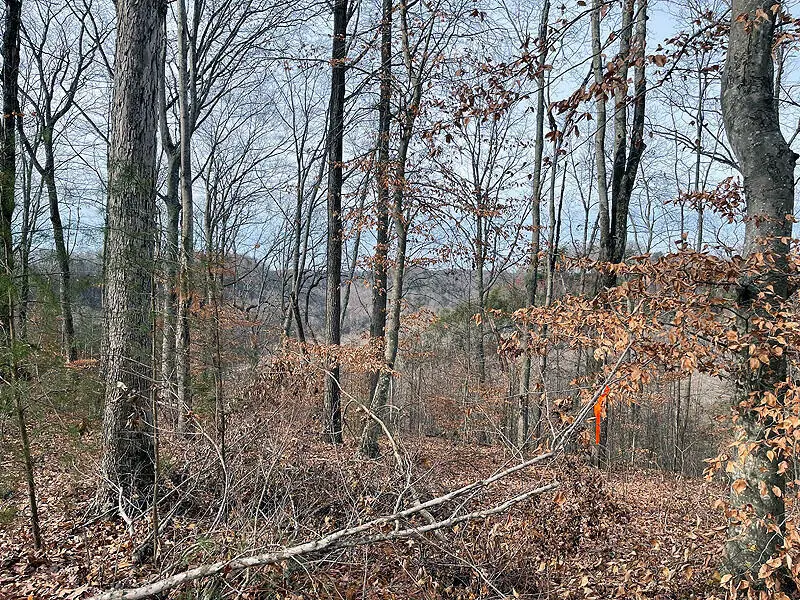 Lot 84 Stillwater, Russell Springs, KY 42642 - #2