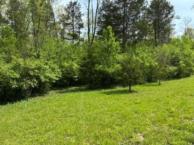 33 Crescent Court, Lawrenceburg, KY 40342 - #2
