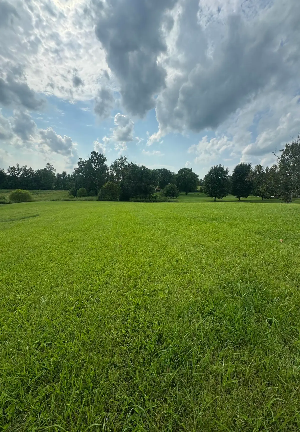 229 Ashley Street, Flemingsburg, KY 41041 - #1