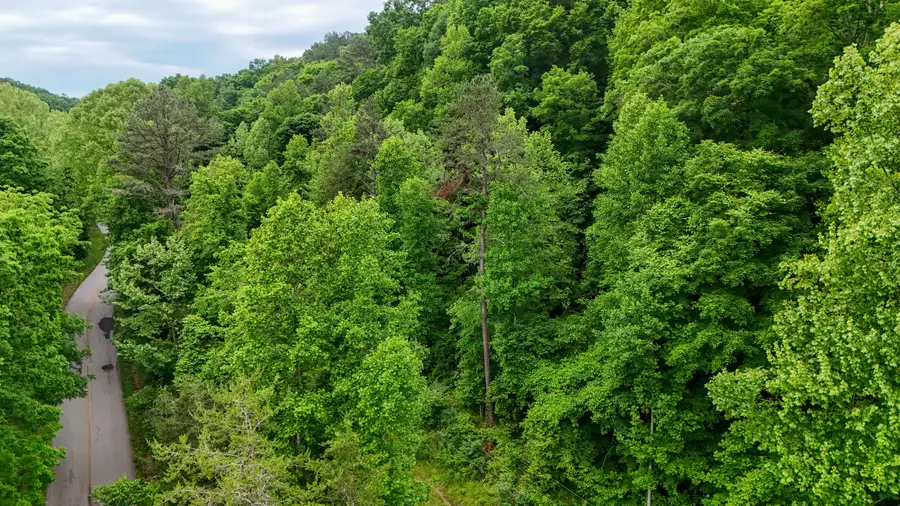 8295 State Hwy 1003, Somerset, KY 42501 - #2