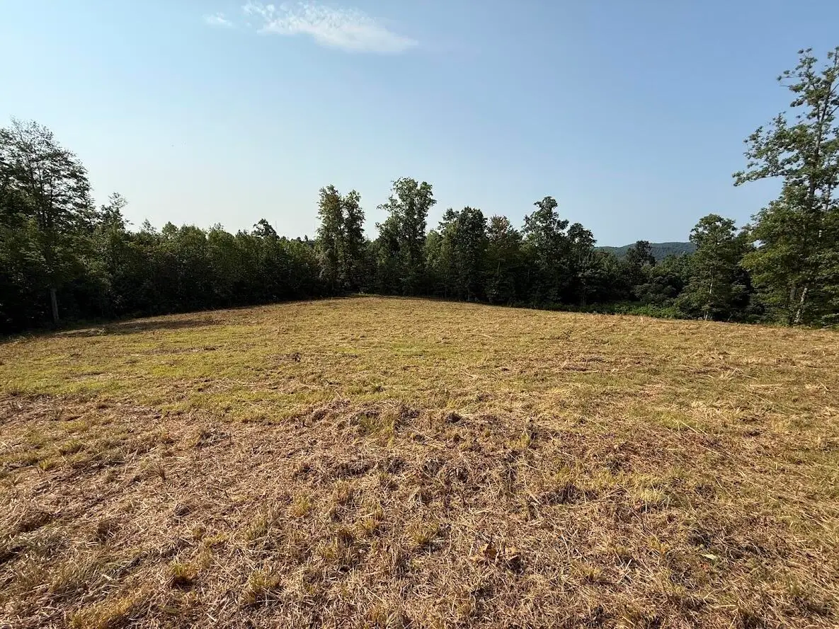 999 Trillium Trail, Livingston, KY 40445 - #1