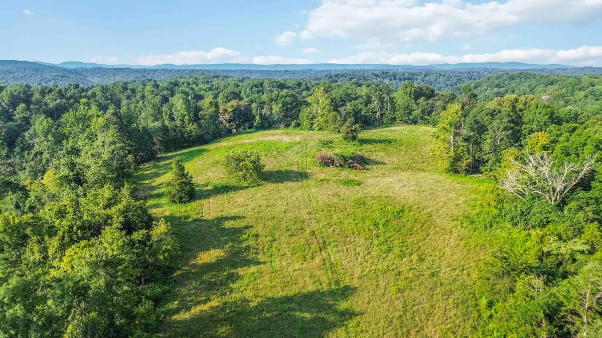 41 Acres Dug Road, Monticello, KY 42633 - #1