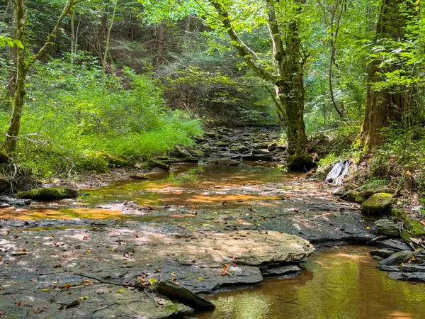 2045 2045 Teges Creek Road, Manchester, KY 40962