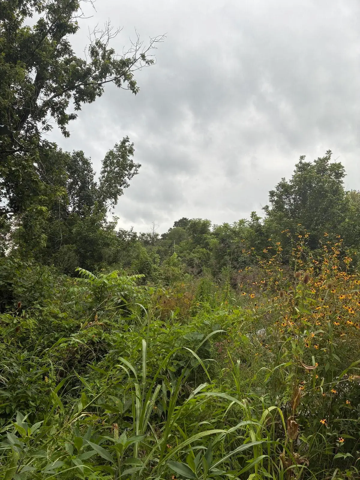 3198 Red House Road, Richmond, KY 40475 - #1