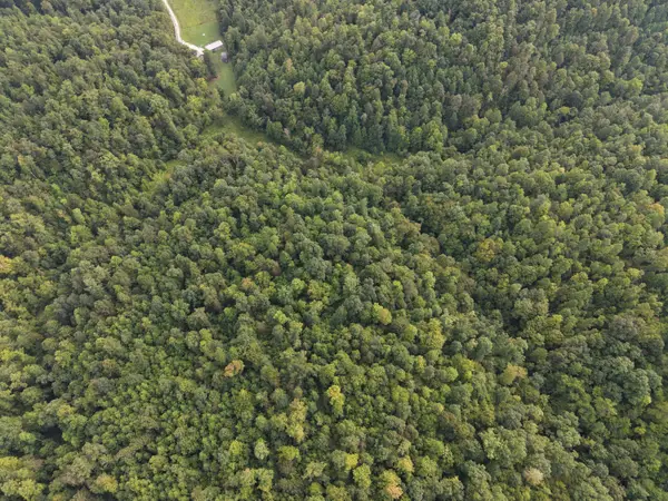 707 707 Shotgun Hollow Road, Frenchburg, KY 40322