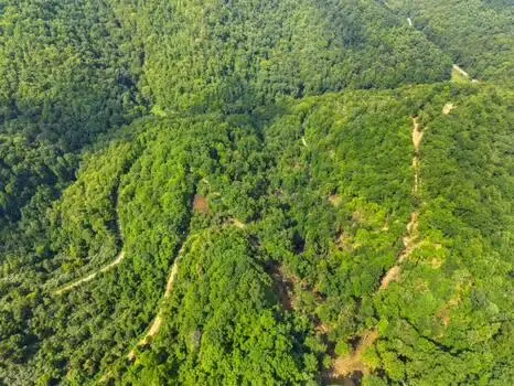 9999 Carrion Branch, Whitesburg, KY 41858