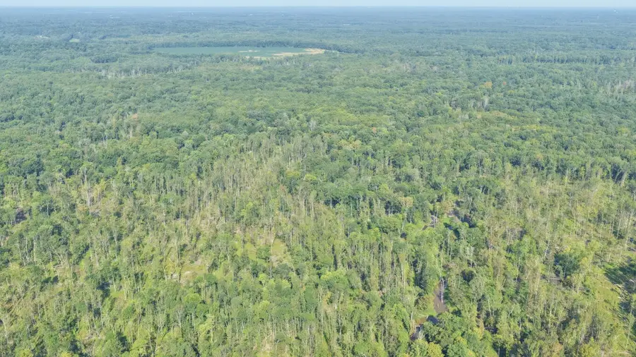 00 Milliken Mill Lane, Benton, KY 42025 - #3