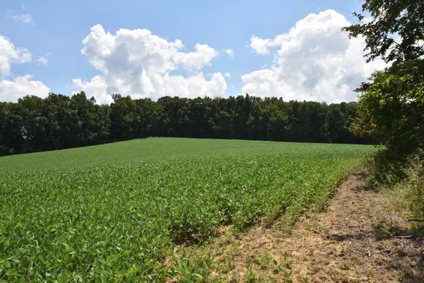 0 Beechy Creek Road, Wallingford, KY 41093