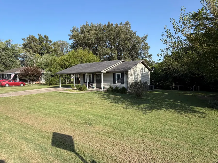 1005 Varmintrace Road, Princeton, KY 42445 - #3