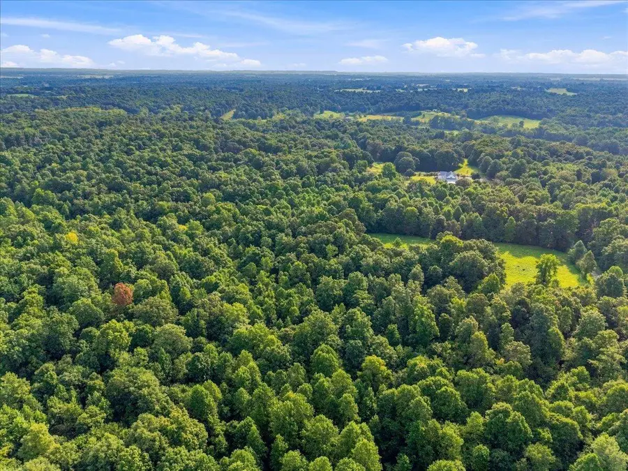 20 Acres Bill Thompson Road, Kuttawa, KY 42055 - #3