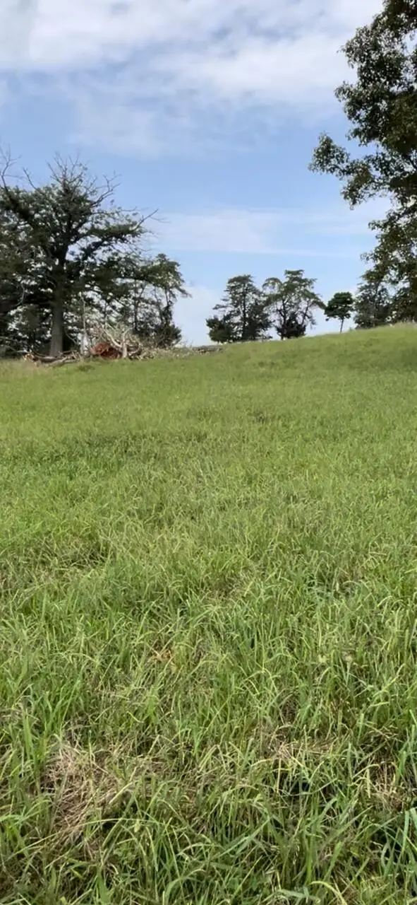 344 Cowan-hull Sub #Lot 19, Monticello, KY 42633 - #1