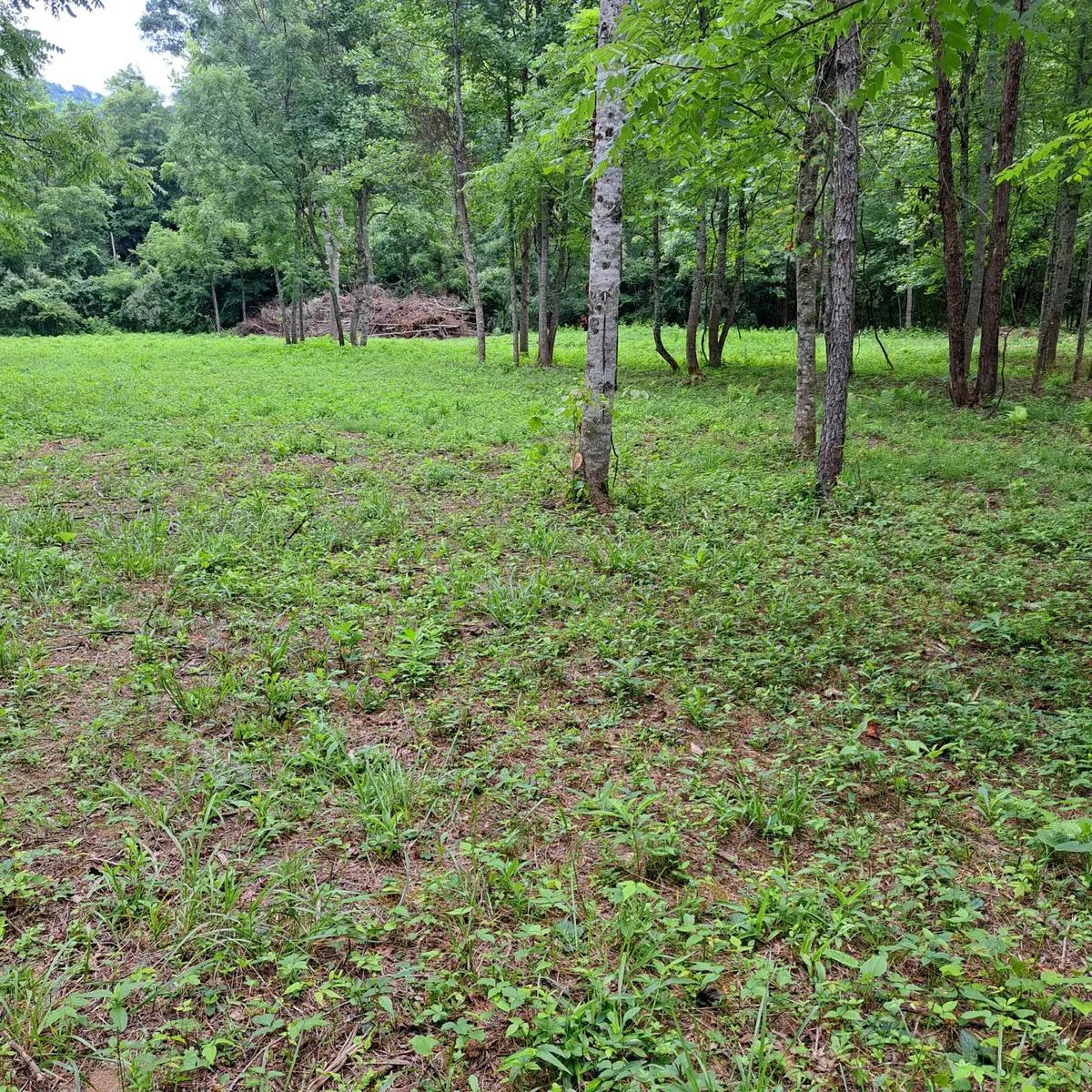 99  Jackson Road, Manchester, KY 40962 - #1