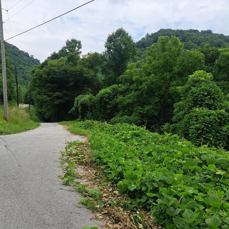 99  Jackson Road, Manchester, KY 40962 - #3
