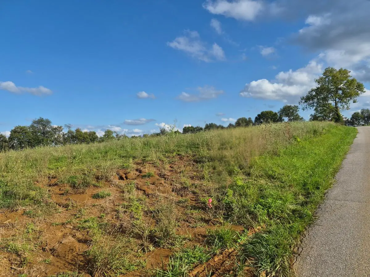 5 Bohannon Road, Pleasureville, KY 40057 - #1