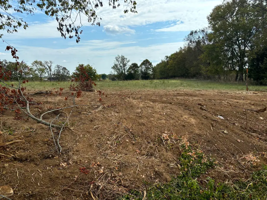 4 Bohannon Road, Pleasureville, KY 40057 - #3