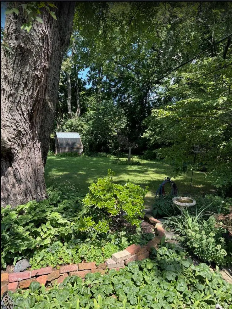 317 Greenbriar Road, Lexington, KY 40503 - #3