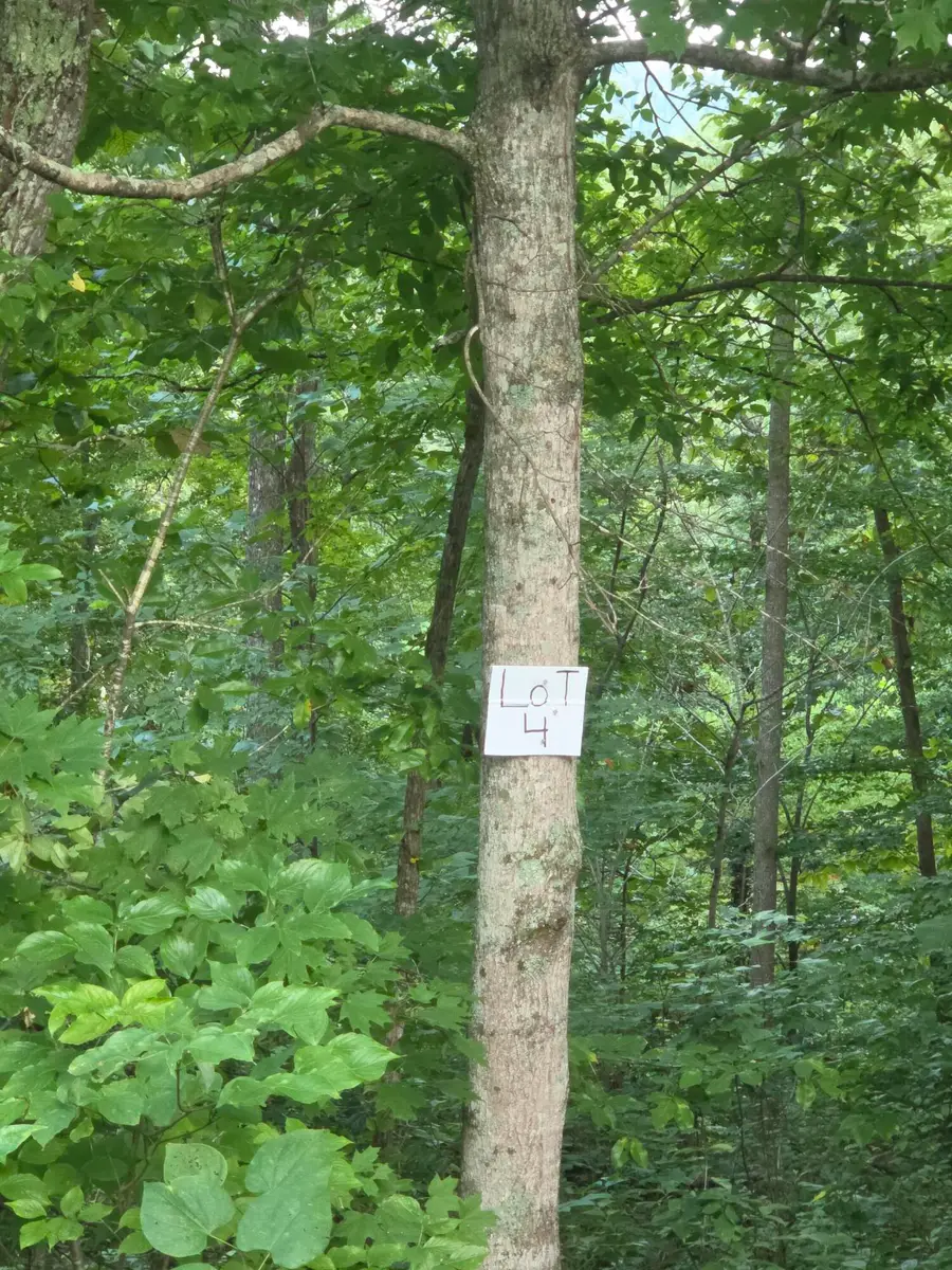 4 Buck Creek Circle, Somerset, KY 42501 - #3
