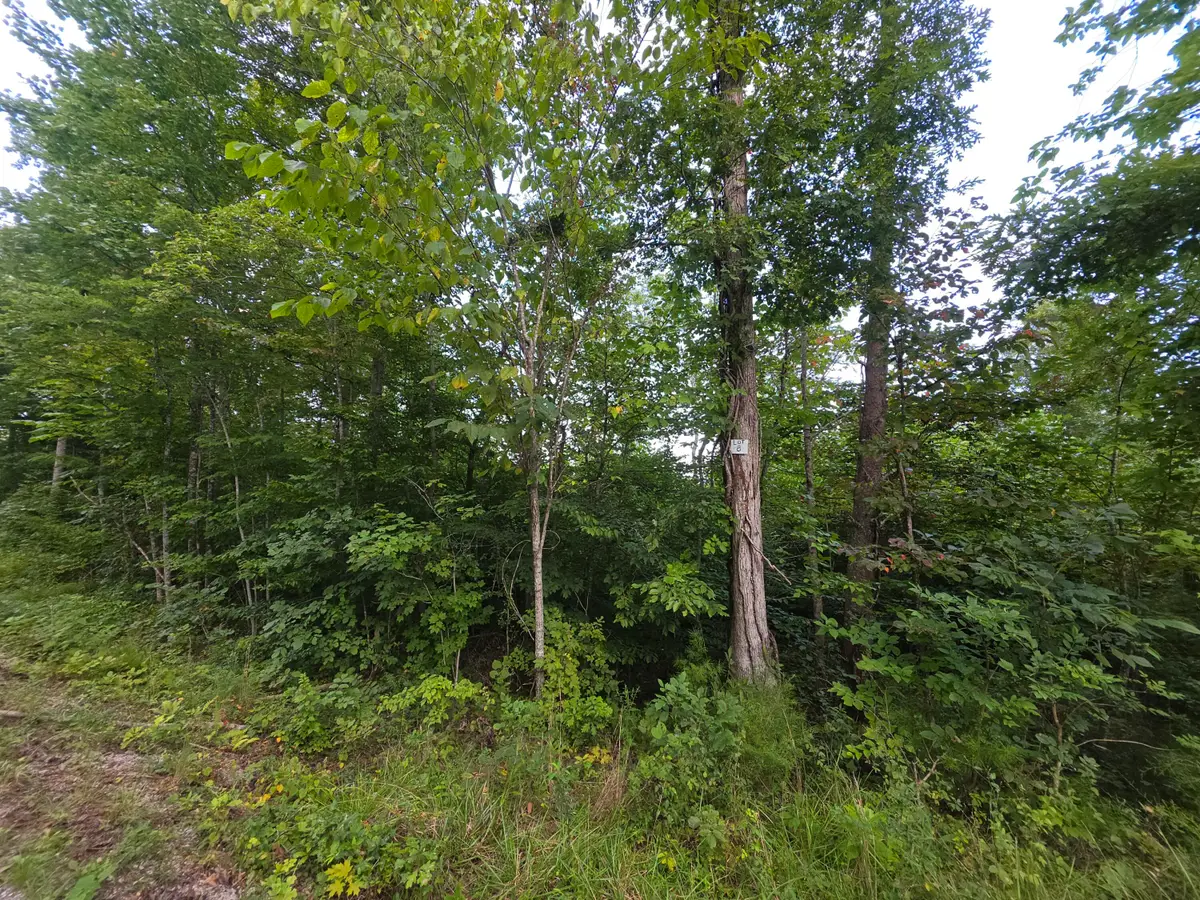 8 Buck Creek Circle, Somerset, KY 42501 - #1