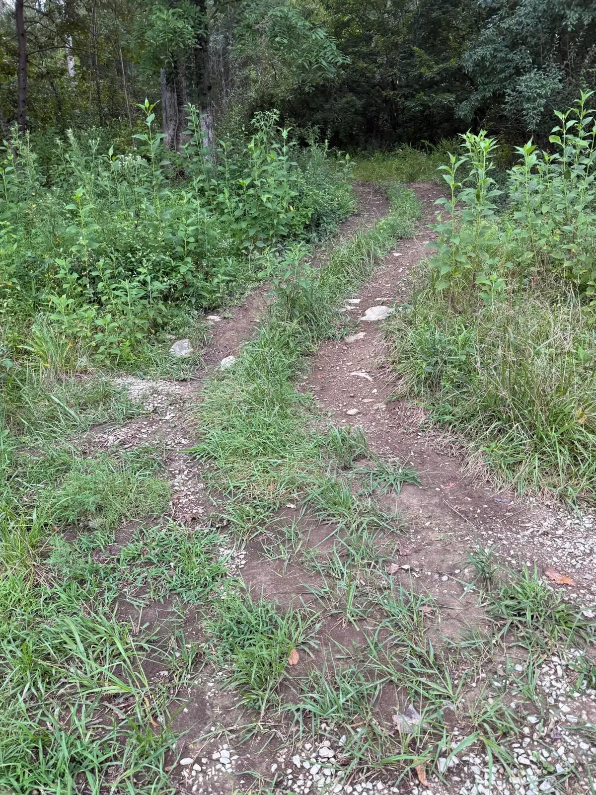 15 R.l Colyer Road, Somerset, KY 42501 - #1