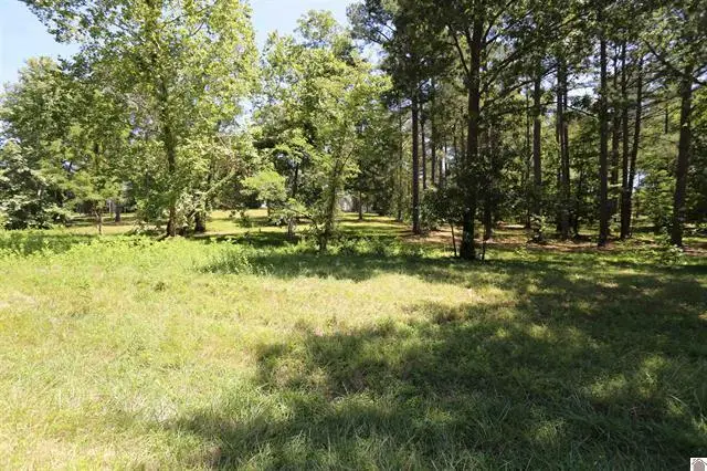 Lot 48 Pine View Drive, Benton, KY 42025 - #1