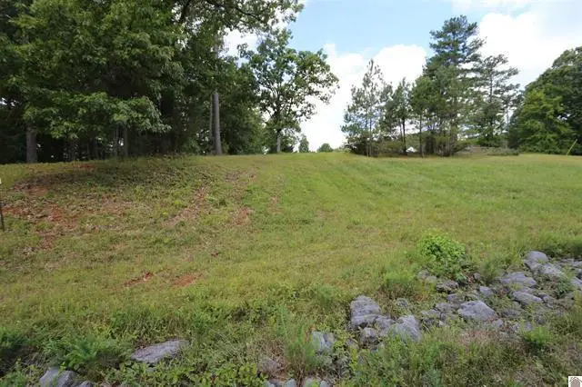 Lot 52 Doe Valley Drive, Benton, KY 42025 - #3