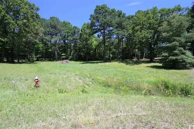 Lot 14 Pine View Drive, Benton, KY 42025 - #1