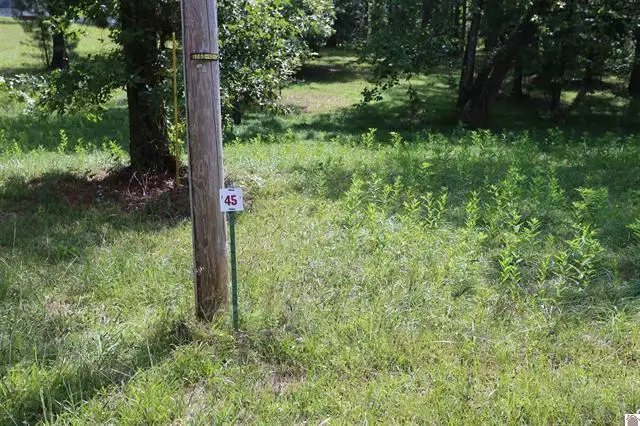 Lot 45 Doe Valley Drive, Benton, KY 42025 - #1