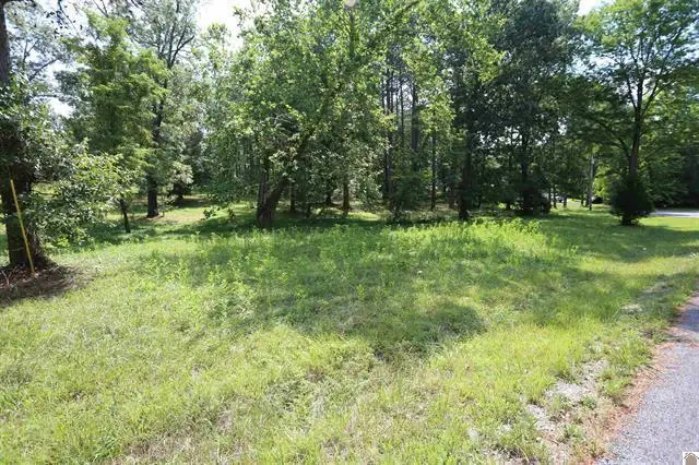 Lot 45 Doe Valley Drive, Benton, KY 42025 - #2