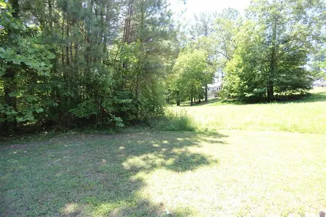 Lot 46 Doe Valley Drive, Benton, KY 42025 - #1