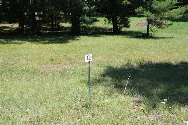 Lot 13 Pine View Drive, Benton, KY 42025 - #1