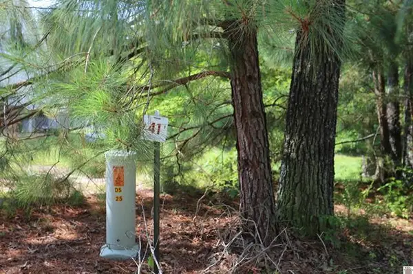 Lot 41 Pine View Drive, Benton, KY 42025
