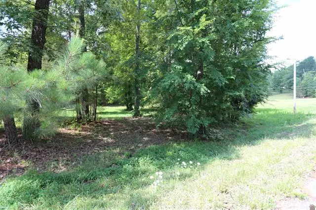 Lot 41 Pine View Drive, Benton, KY 42025 - #2