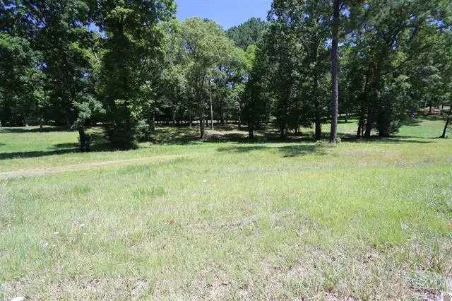 Lot 12 Pine View Drive, Benton, KY 42025 - #2