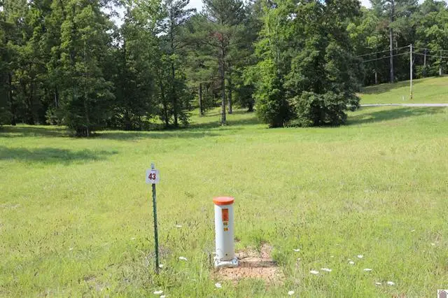 Lot 43 Pine View Drive, Benton, KY 42025 - #1