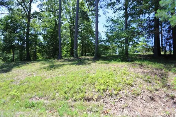 Lot 54 Pine View Drive, Benton, KY 42025
