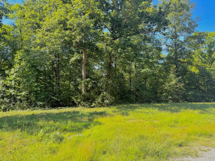 42 Village Point Lane, Monticello, KY 42633 - #2