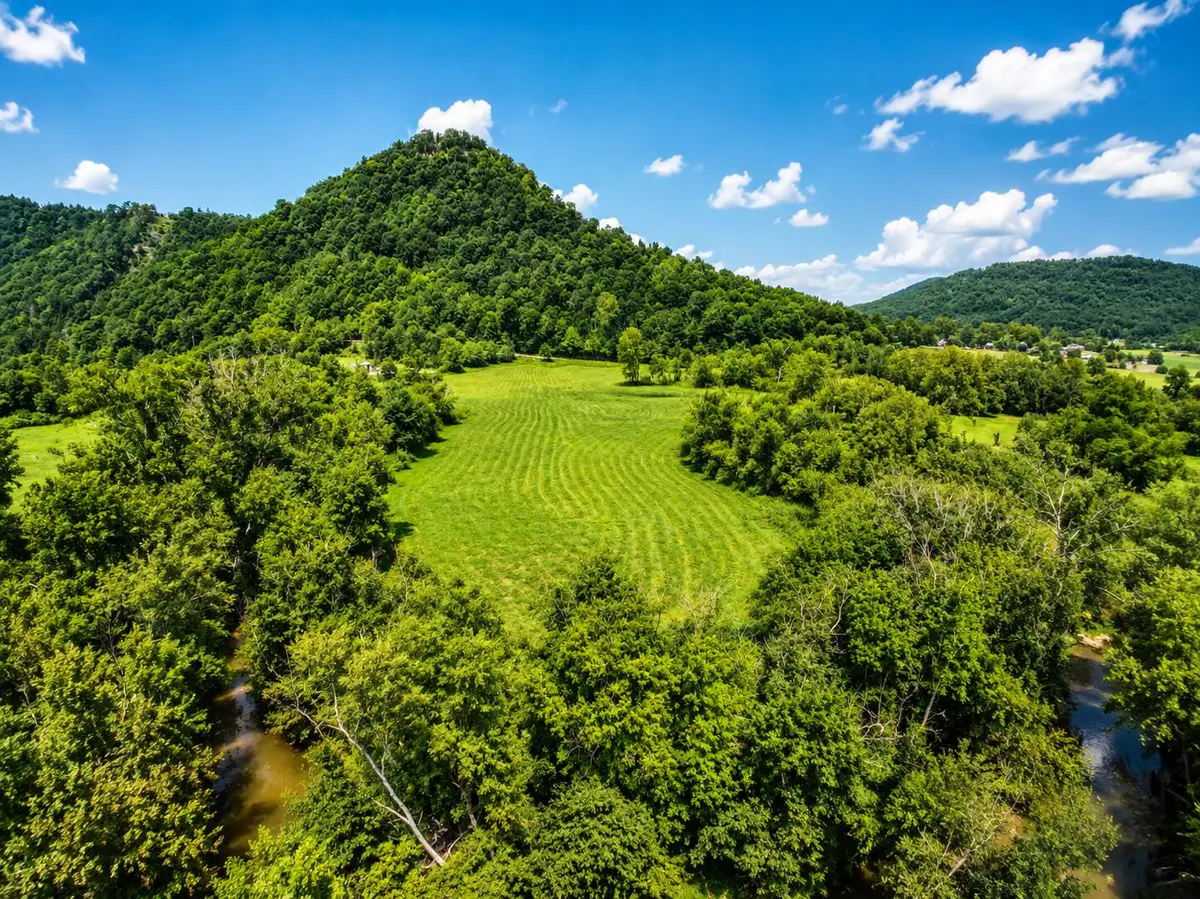 2924 Red Lick Road, Irvine, KY 40336 - #1