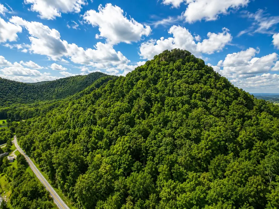 2924 Red Lick Road, Irvine, KY 40336 - #3