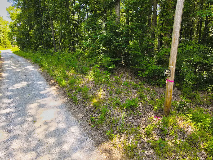 1117 Harmon Creek Road, Monticello, KY 42633 - #2