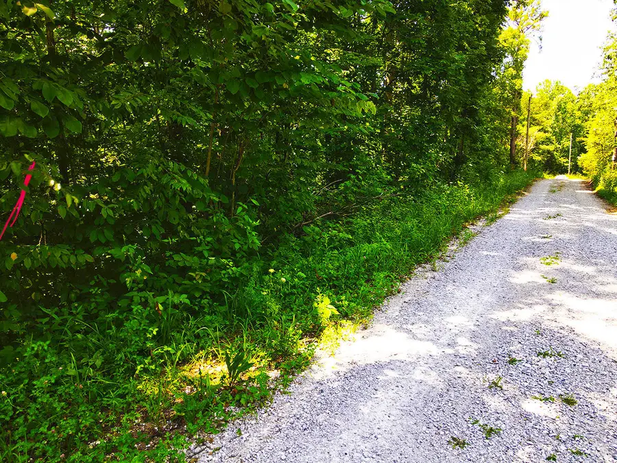 1117 Harmon Creek Road, Monticello, KY 42633 - #3
