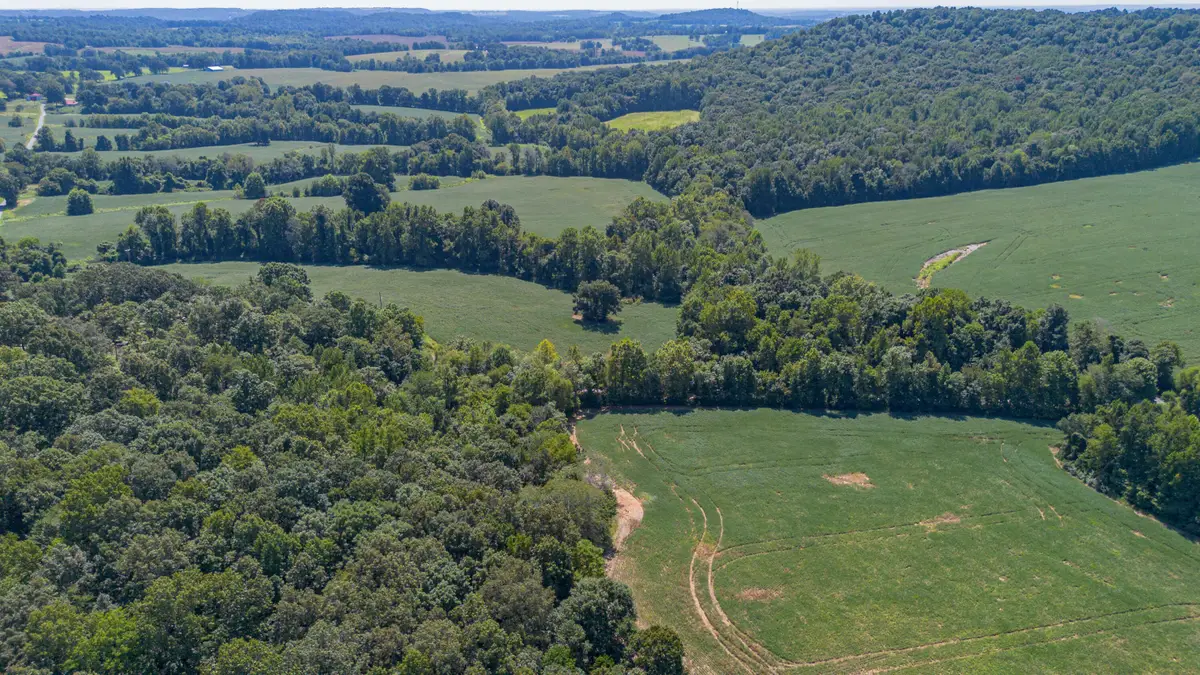 000 Cecil Croft Road, Salem, KY 42078 - #1