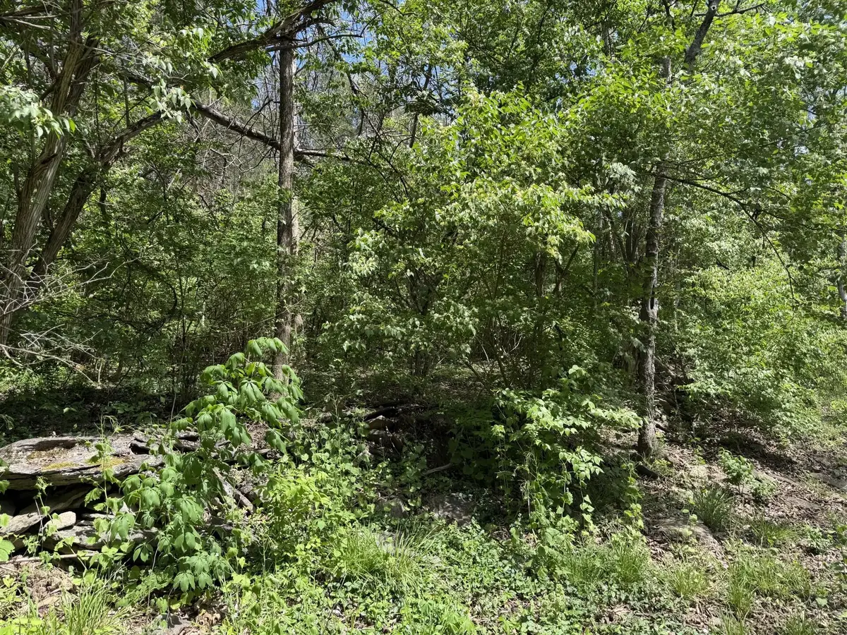 Lot #1 June Bug Lane, Nicholasville, KY 40356 - #1