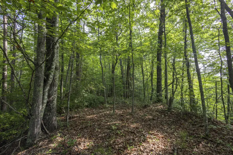 Lot 116-120 Highland Heights, Zoe, KY 41397 - #2
