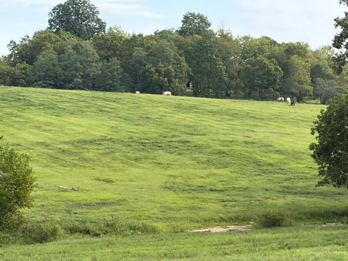 1061 Harrods Creek Road, Paris, KY 40361 - #1