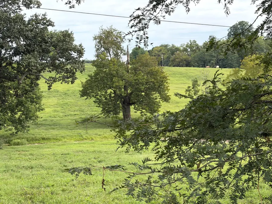 1061 Harrods Creek Road, Paris, KY 40361 - #3