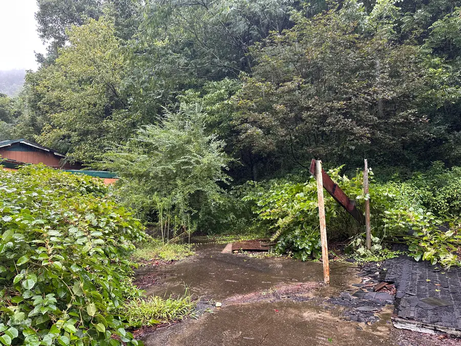 816 Road Creek, Elkhorn City, KY 41522 - #2