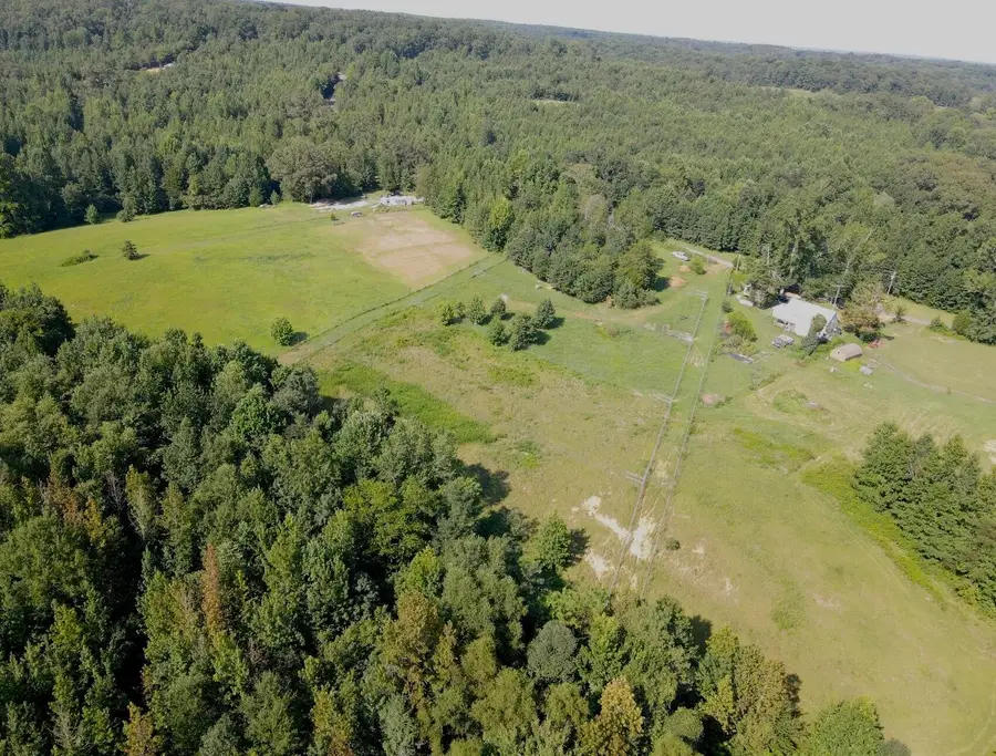 1785  Billie Branch Road, New Concord, KY 42076 - #3