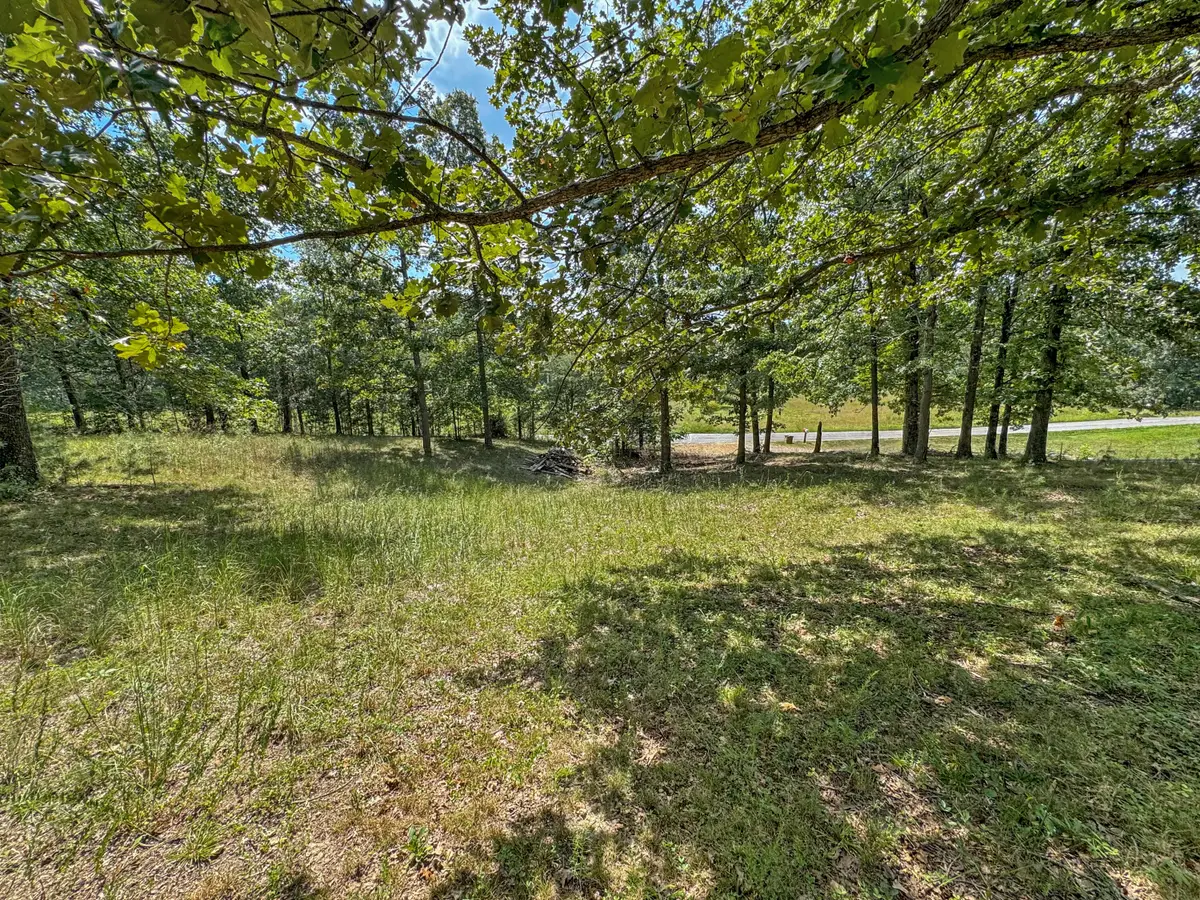 000 Cummins Road, Dawson Springs, KY 42408 - #1